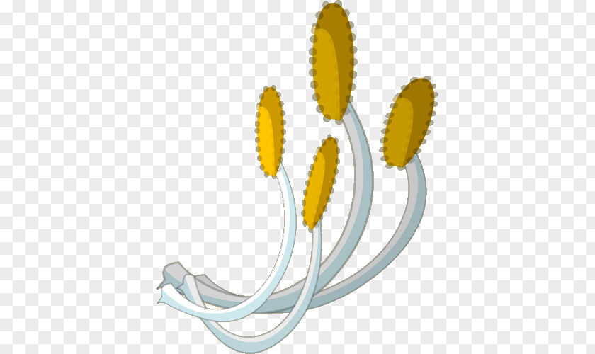 Flower Stamen Pollen Lily Sepal PNG