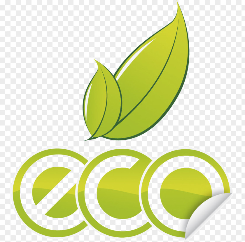 Leaf Green Logo Plant PNG