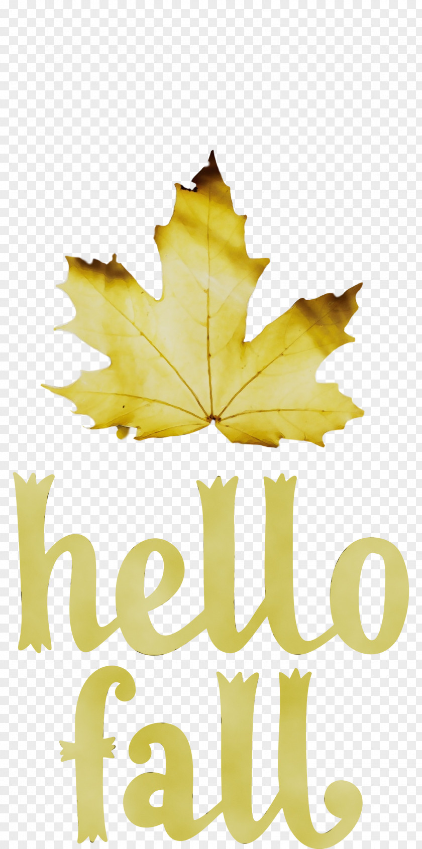 Leaf Maple Leaf / M Yellow Font Tree PNG