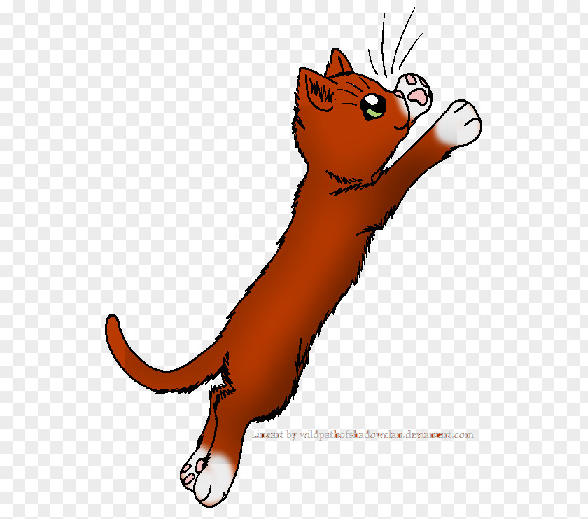 Warrior Cats Webdesign Warriors The Rise Of Scourge Siamese Cat Munchkin Nyan PNG