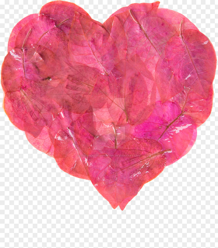 Arecaceae Pink M Heart PNG