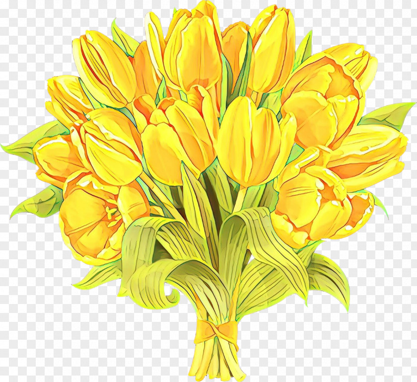 Bouquet Petal Flower Yellow Cut Flowers Plant Tulip PNG