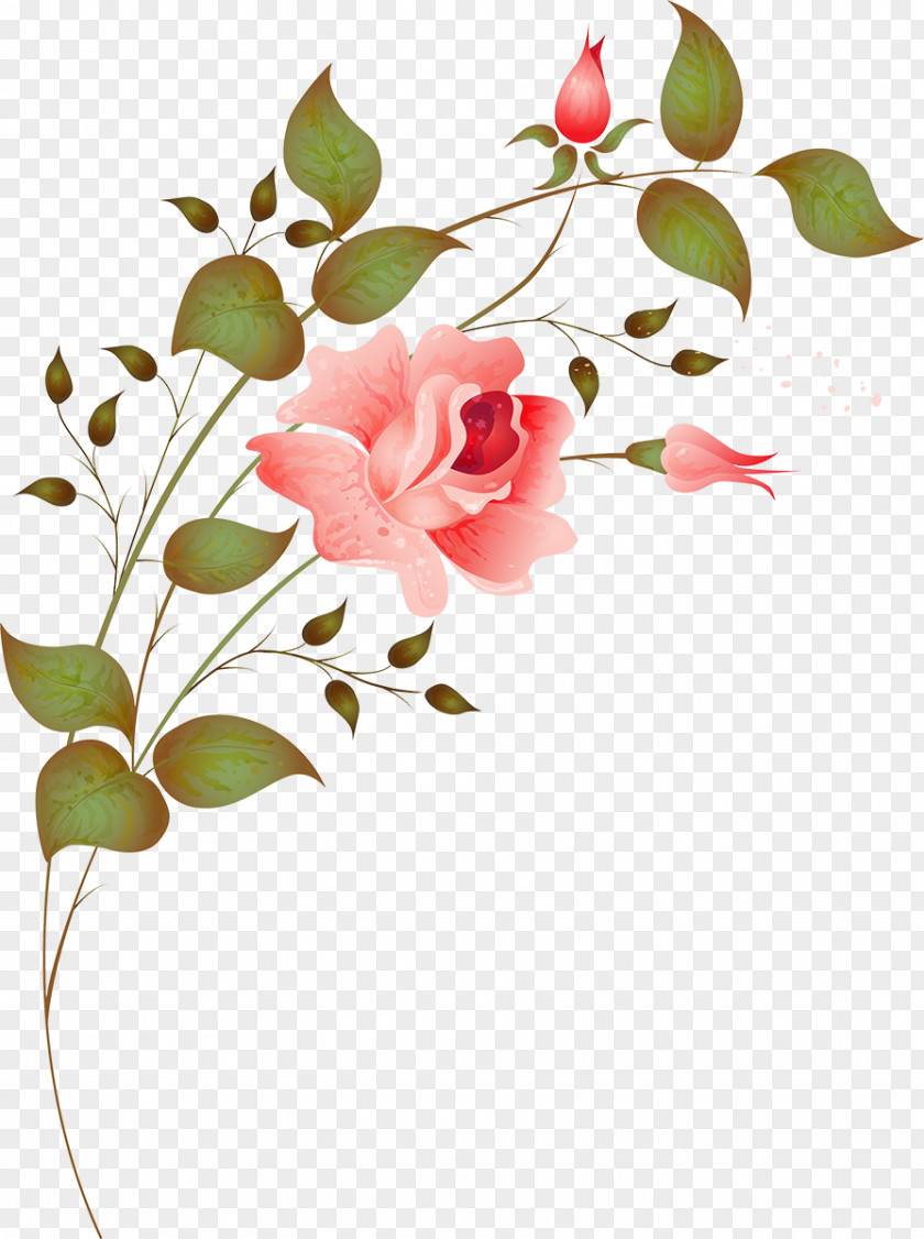 Flower Design Rose Image Illustration PNG