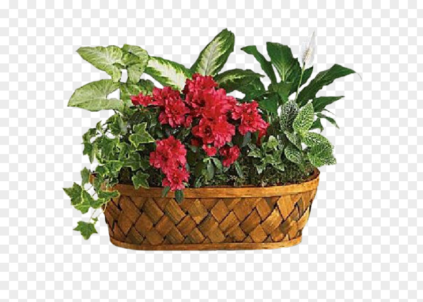 Greenery Arrangements Flower Delivery Teleflora Floristry Plants PNG