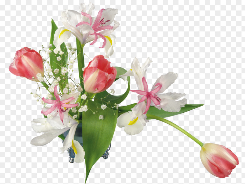 Plant Flowers Creative Floral Patterns Balatonederics Nemesvita Holiday Spring Flower PNG
