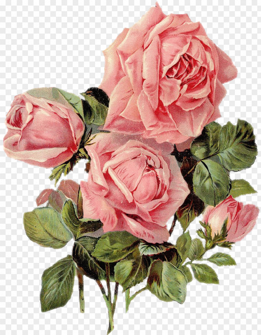 Rose Paper Printing Flower Art PNG