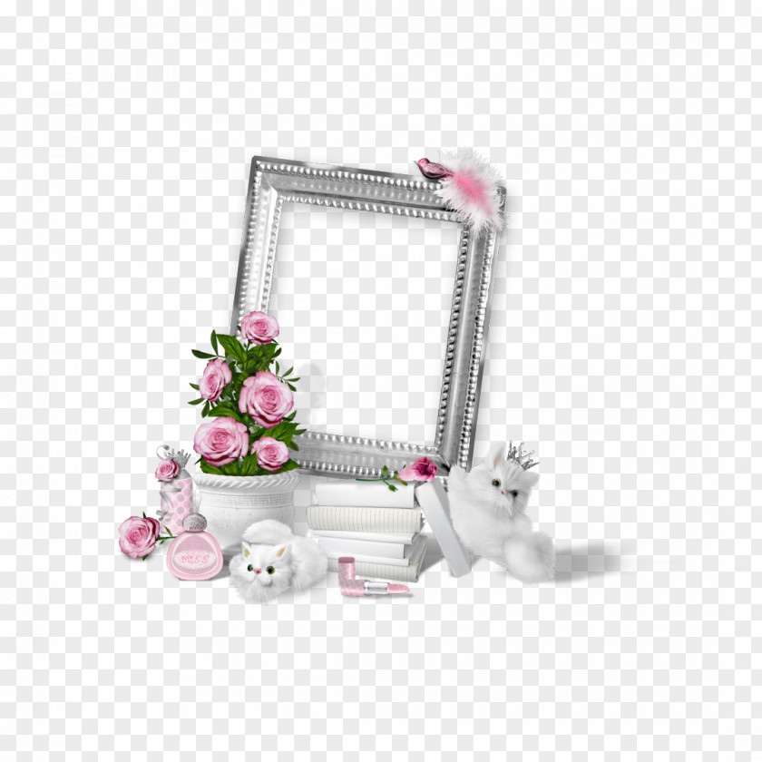 Window Picture Frames Film Frame Photography Rigid PNG