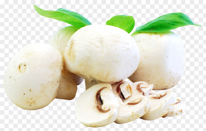 Fresh Mushrooms Ingredient Recipe Mushroom Food Vegetable PNG