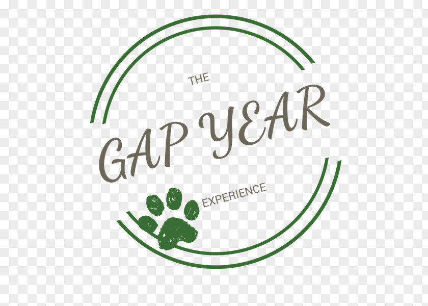 Gap Year Cornerstone Preparatory Academy School Graduate University College PNG