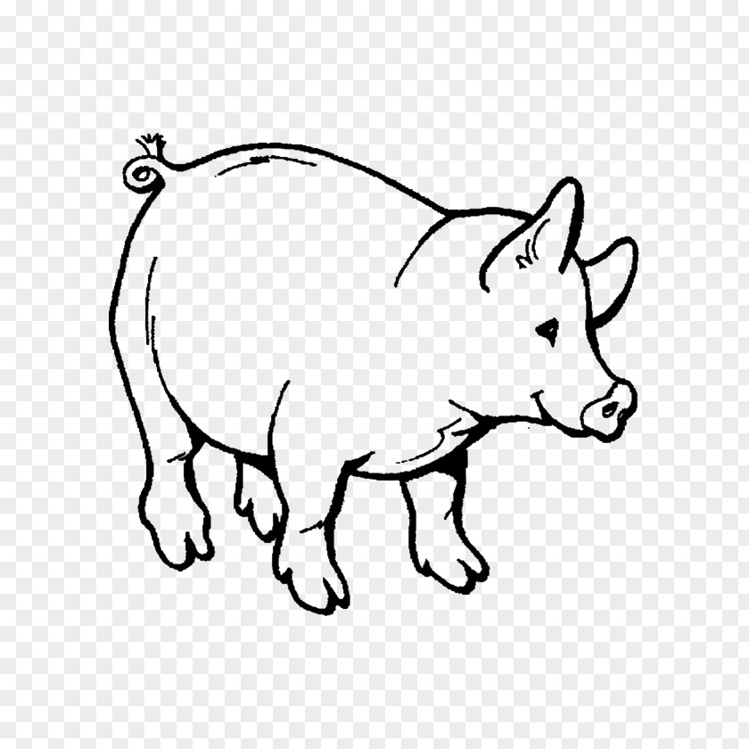 Pig Domestic Coloring Book Child Adult PNG