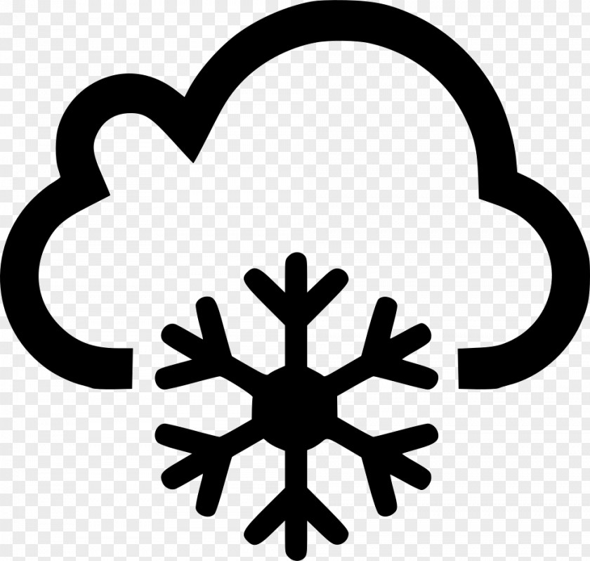Snowflake Vector Graphics Royalty-free Logo Image PNG