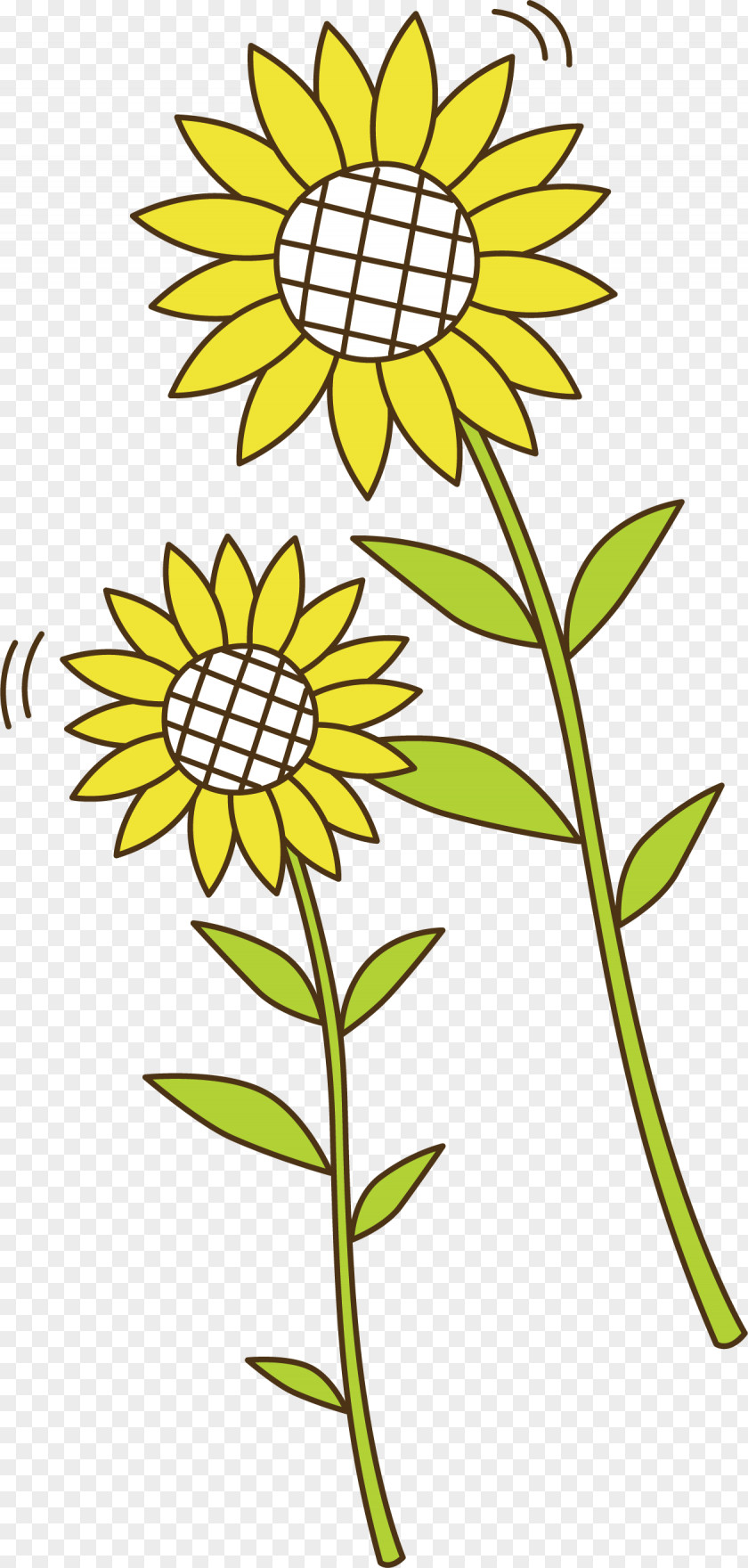 Sunflower Vector Element Common Euclidean Clip Art PNG