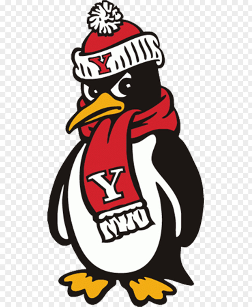 Youngstown State University Penguins Football Men's Basketball Stambaugh Stadium Division I (NCAA) PNG