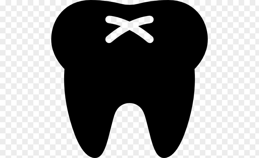 Body Parts Dentistry Tooth Clip Art PNG