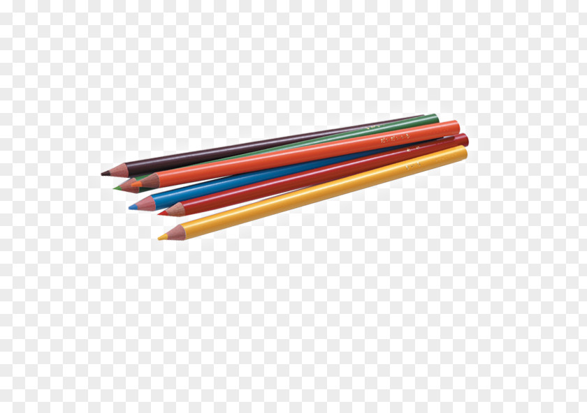 Colored Pencils Pencil Stationery PNG