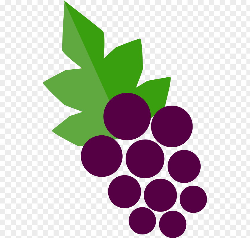 Wine List Grape Liquor Cellar PNG