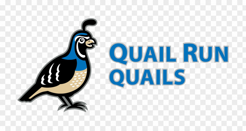 Bird Quail Run Behavioral Health West Avenue Clip Art PNG