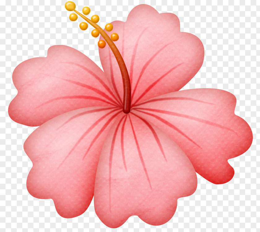 Flower Drawing Clip Art PNG