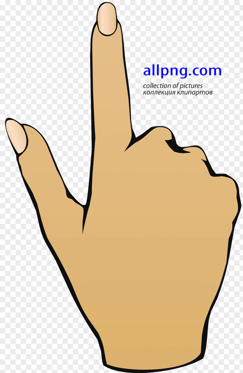 Hand Thumb Index Finger Digit PNG