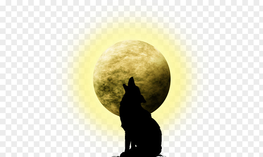 Moon Supermoon Coyote Blue Full PNG