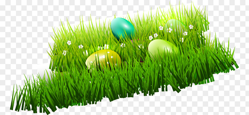Easter Eggs Vector Material, Bunny Egg PNG