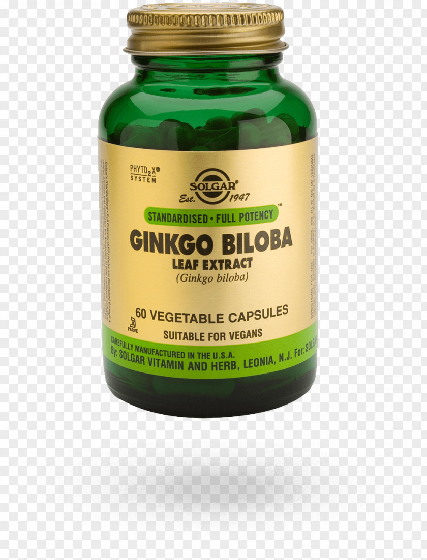 Ginkgo-biloba Ginkgo Biloba Extract Olive Leaf Dietary Supplement Vegetable PNG