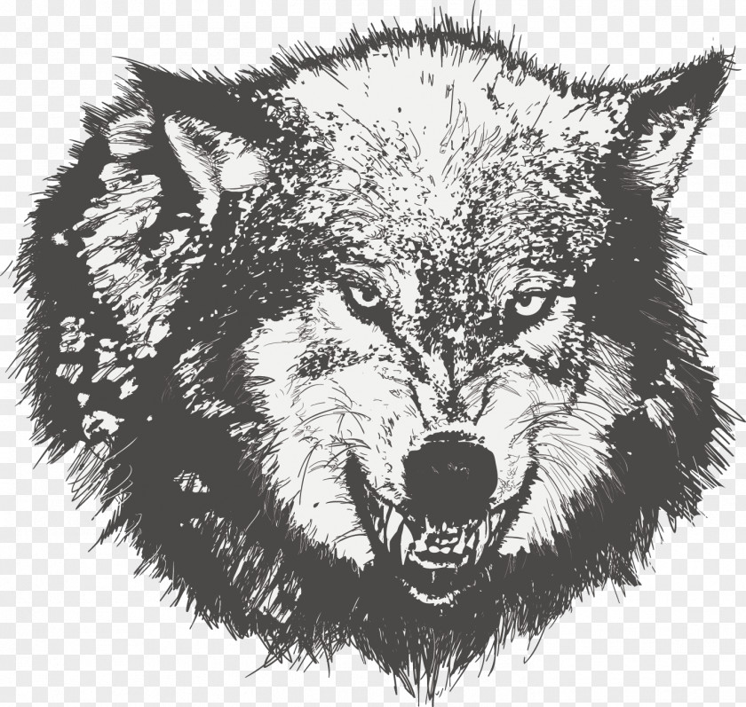 Vector Painted Wolf Dog Drawing Black Sketch PNG