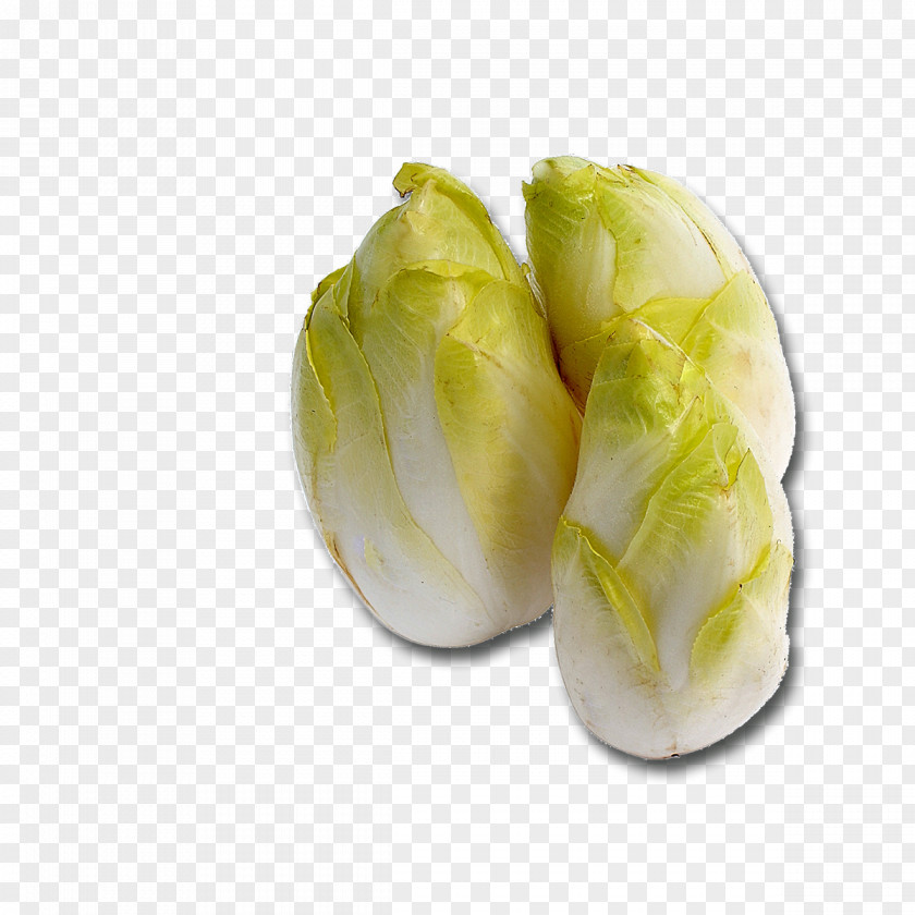 Vegetable Endive Radicchio Recipe Bitterness PNG