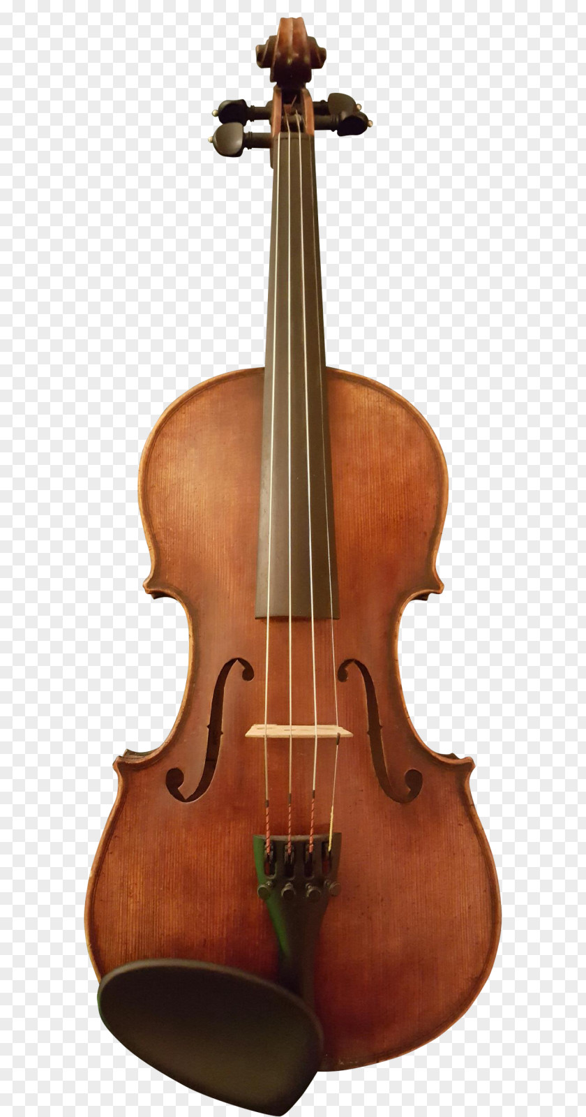 Violin Electric Cello Viola Double Bass PNG