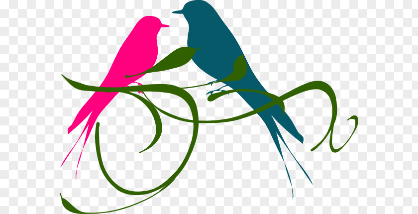 Bird Lovebird Budgerigar Silhouette Clip Art PNG