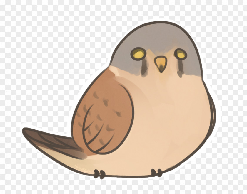 Falcon Mascot Cute Owl Beak Cartoon PNG