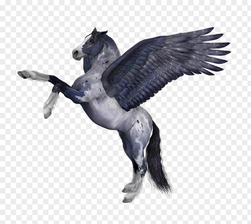 Horse Pegasus Medusa Image Myth PNG