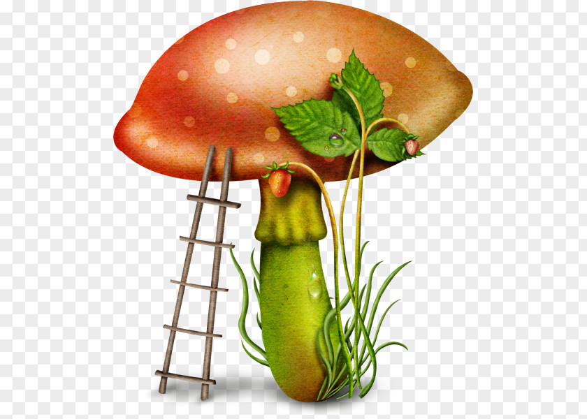 Ladder With Mushrooms Fungus Mushroom Clip Art PNG