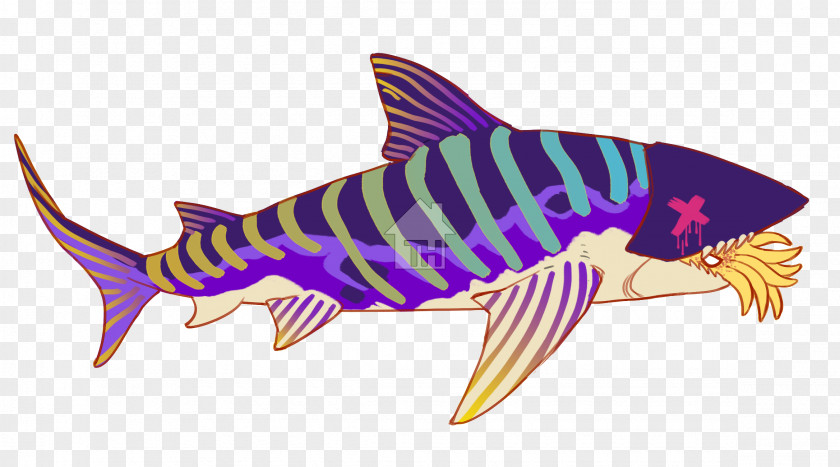 Shark Requiem Sharks Catfish Marine Biology Fauna PNG