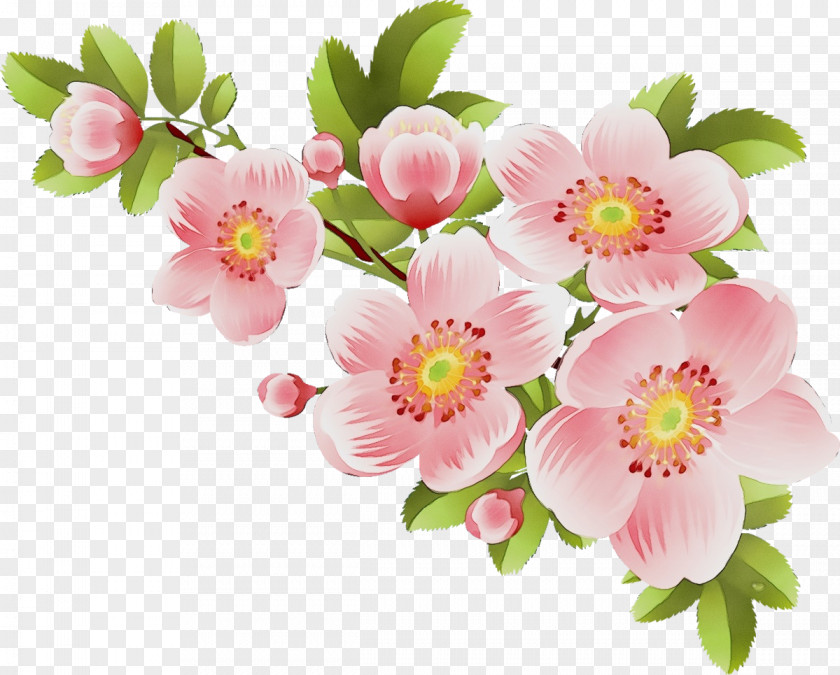 Bouquet Rosa Rubiginosa Flower Flowering Plant Pink Petal PNG