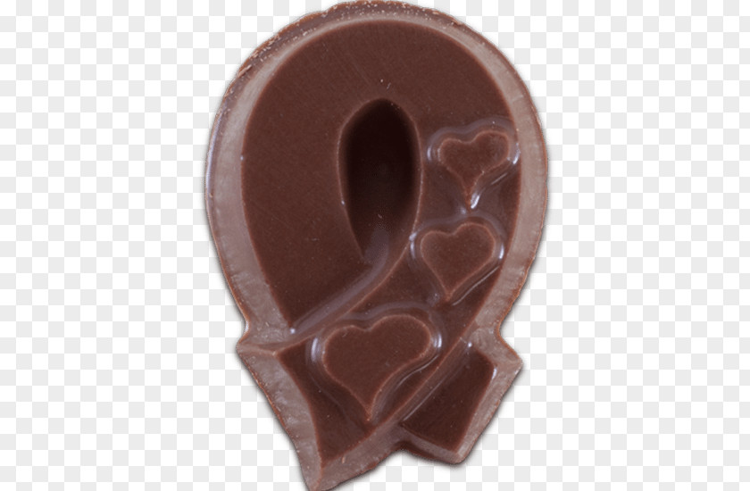 Chocolate Dark Anatomy Kidney Green Ribbon PNG