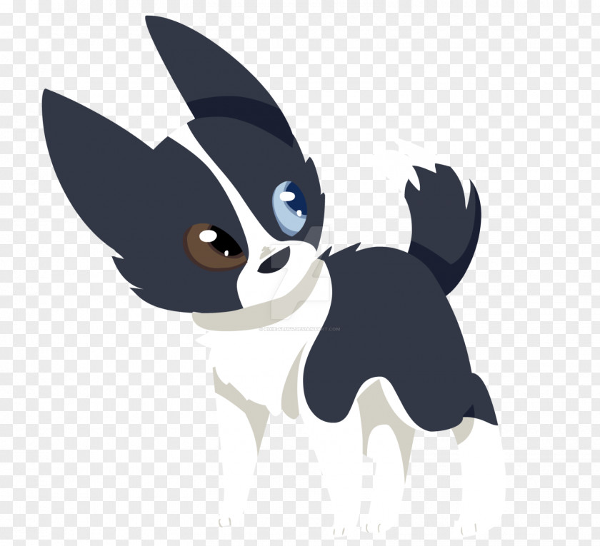 Cute Dog Border Collie Rough Puppy Cat Drawing PNG