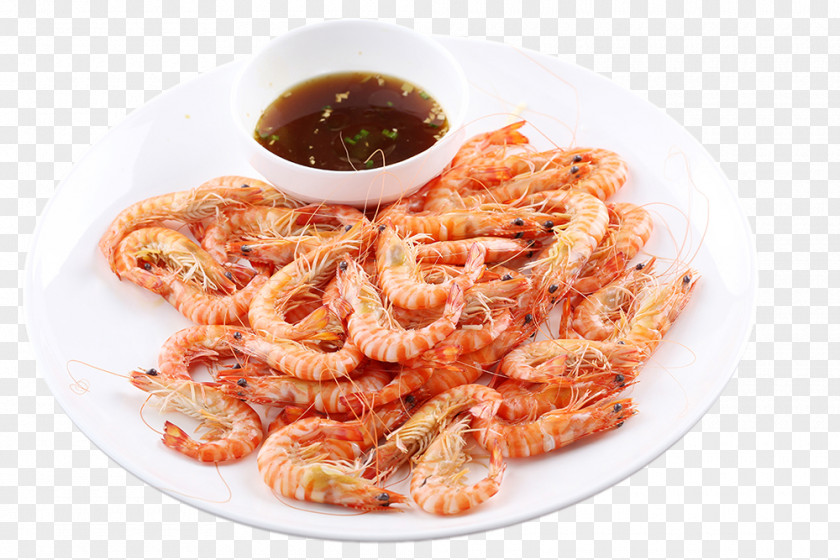 Hotel Shrimp Dishes Caridea Gratis U57fau56f4u867e PNG