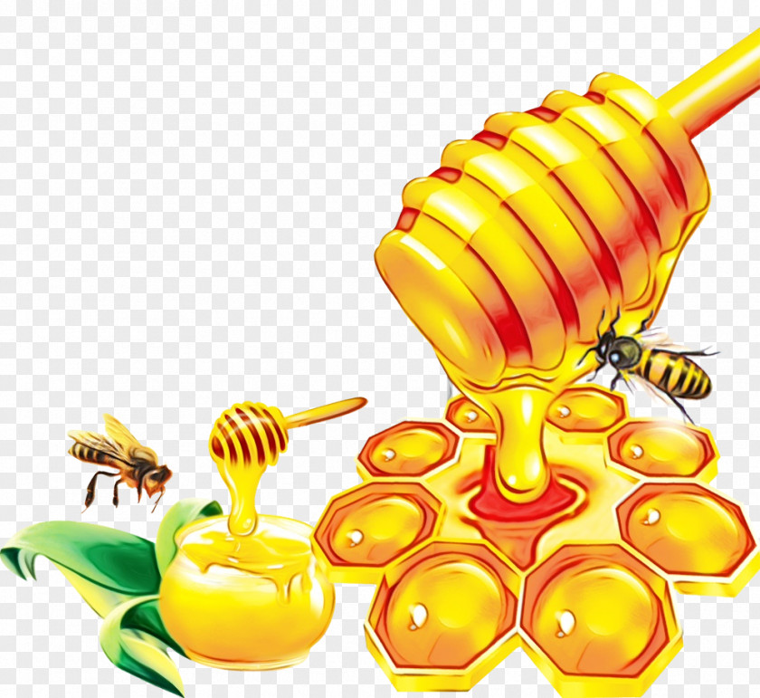 Insects Honey Bee Bees Pollinator PNG