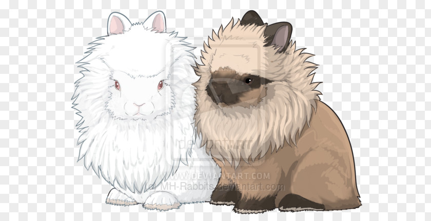 Lionhead Bunnies Whiskers Netherland Dwarf Rabbit Siamese Cat PNG