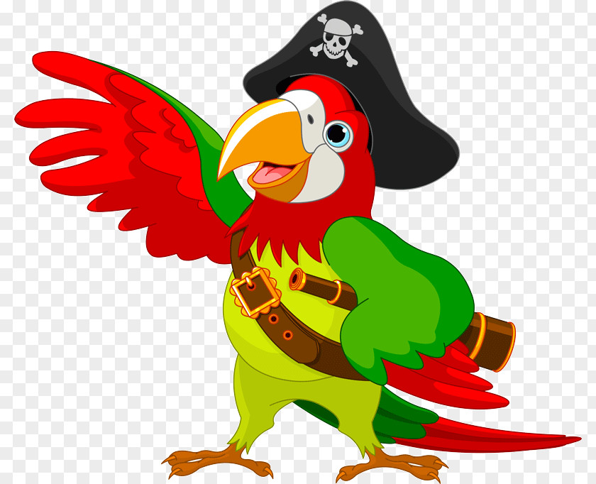 Parrot Pirate Clip Art Bird Illustration PNG