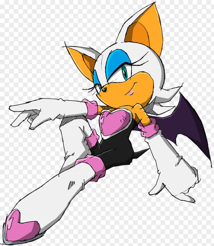 Rouge The Bat Sonic Riders Adventure 2 Hedgehog Tails PNG