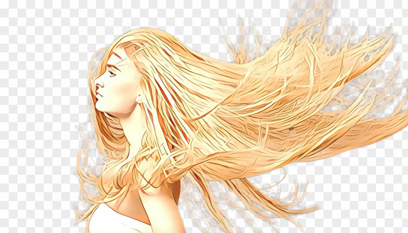 Step Cutting Feathered Hair Blond Hairstyle Coloring Long PNG