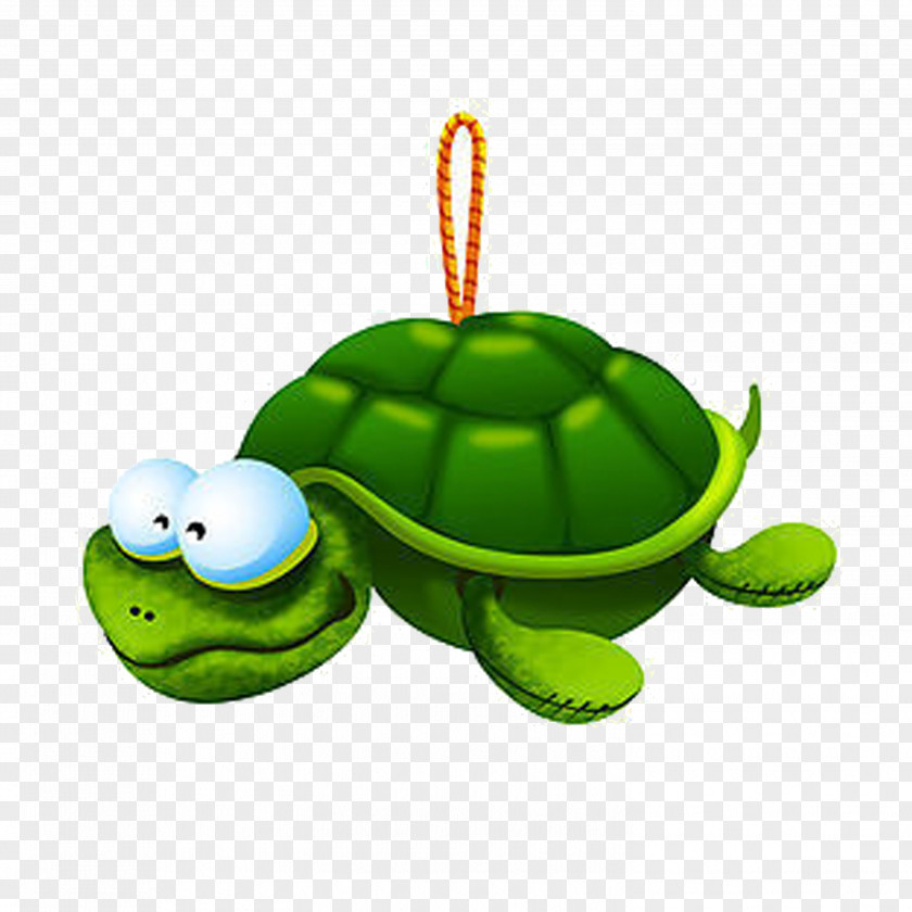 Turtle Ornaments Cartoon Tortoise PNG