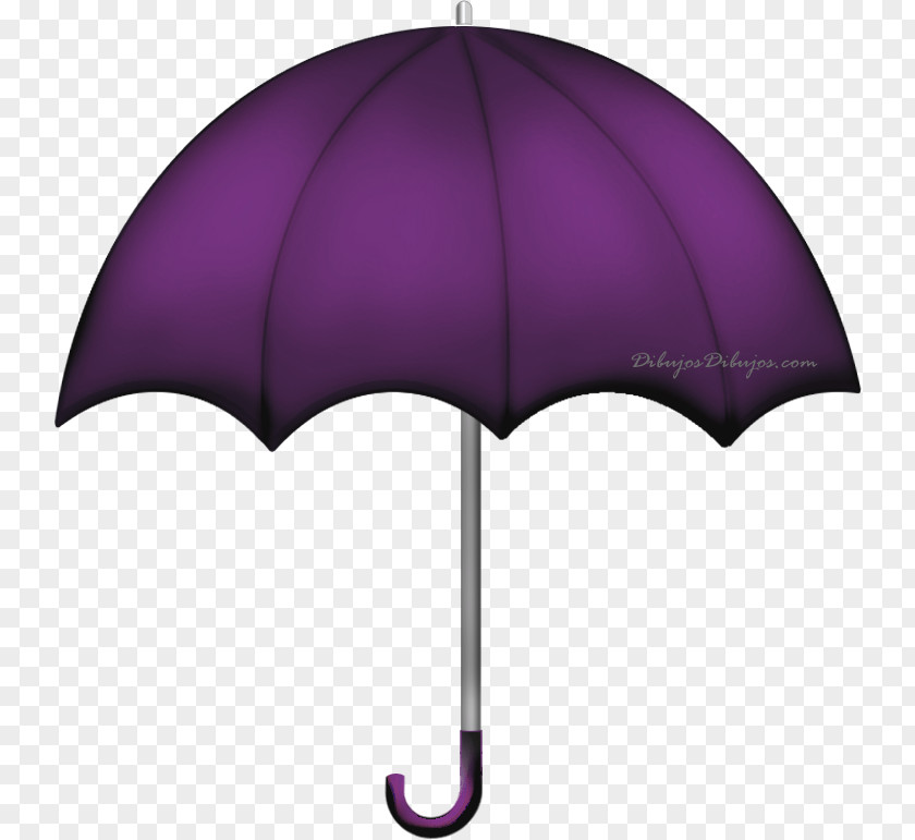 Umbrella Purple Color Mulberry Drawing PNG