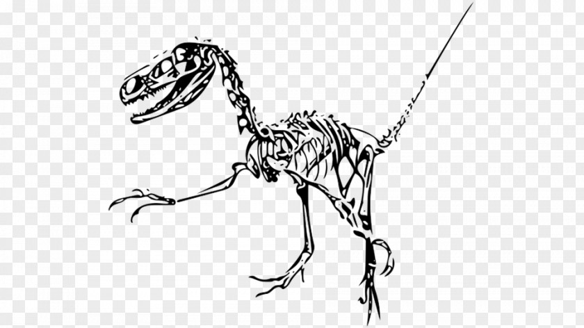 Xenotarsosaurus Outline Oviraptor Velociraptor Dinosaur Skipjack Tuna Image PNG