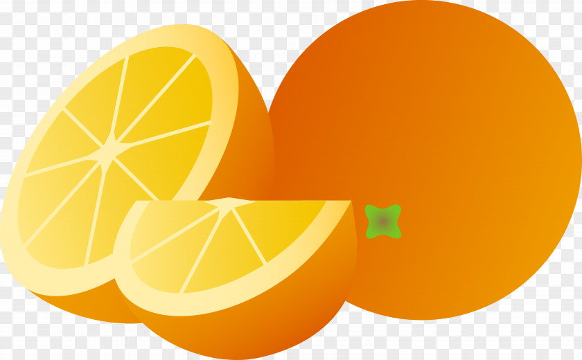 Citrus Cliparts Juice Orange Punch Fruit Clip Art PNG