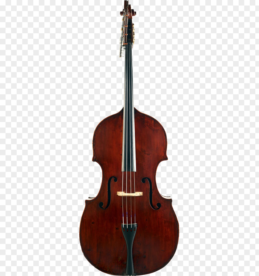 Double Bass Violin Violone Viola Guitar PNG