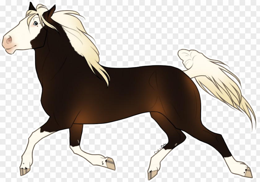 Mustang Mane Foal Stallion Mare PNG