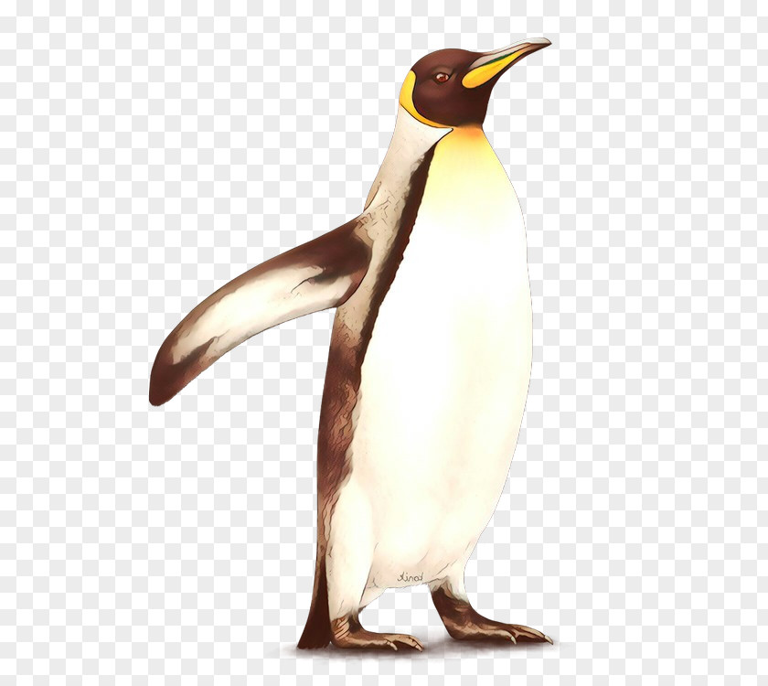 Penguin PNG